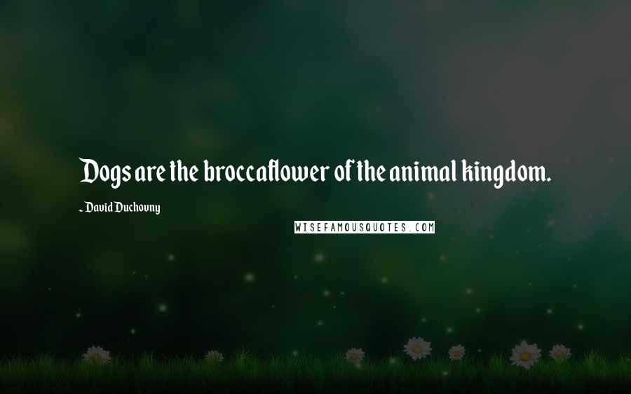 David Duchovny Quotes: Dogs are the broccaflower of the animal kingdom.