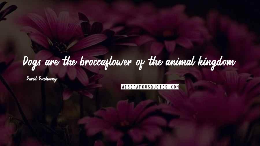 David Duchovny Quotes: Dogs are the broccaflower of the animal kingdom.