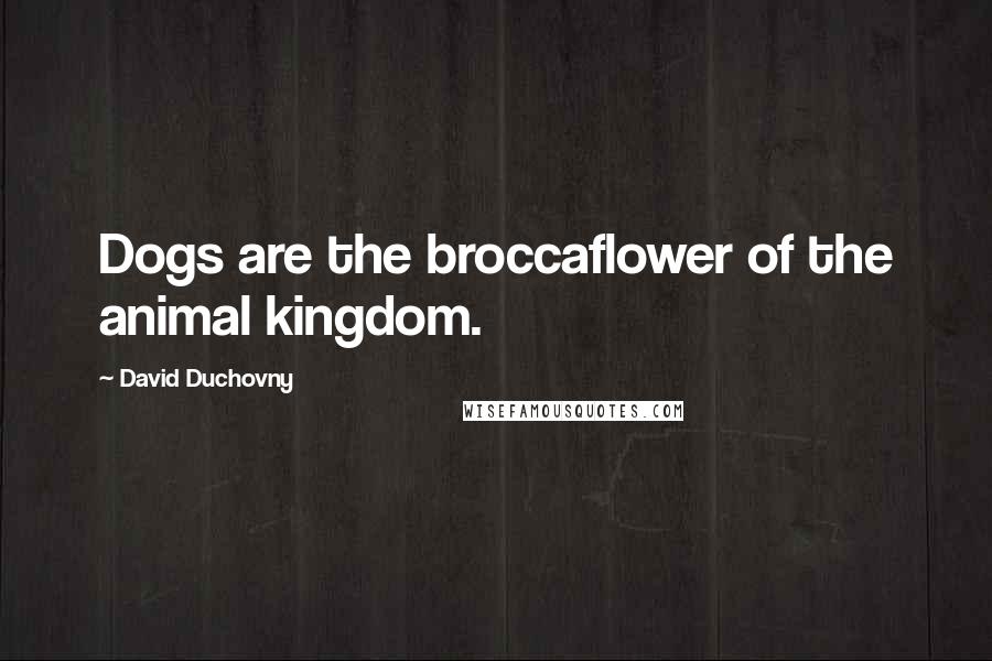 David Duchovny Quotes: Dogs are the broccaflower of the animal kingdom.