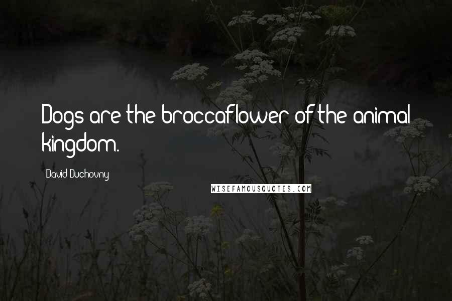 David Duchovny Quotes: Dogs are the broccaflower of the animal kingdom.