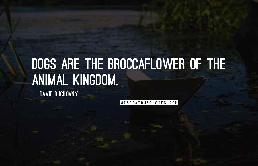 David Duchovny Quotes: Dogs are the broccaflower of the animal kingdom.