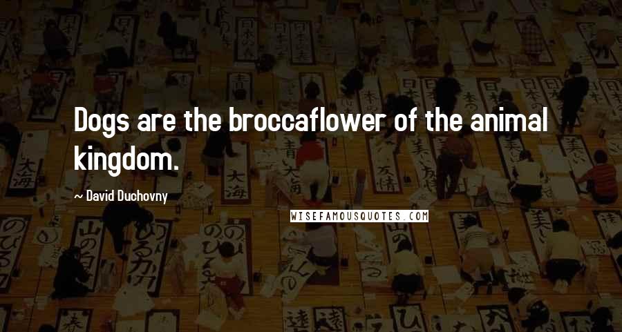 David Duchovny Quotes: Dogs are the broccaflower of the animal kingdom.