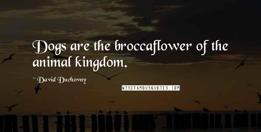 David Duchovny Quotes: Dogs are the broccaflower of the animal kingdom.