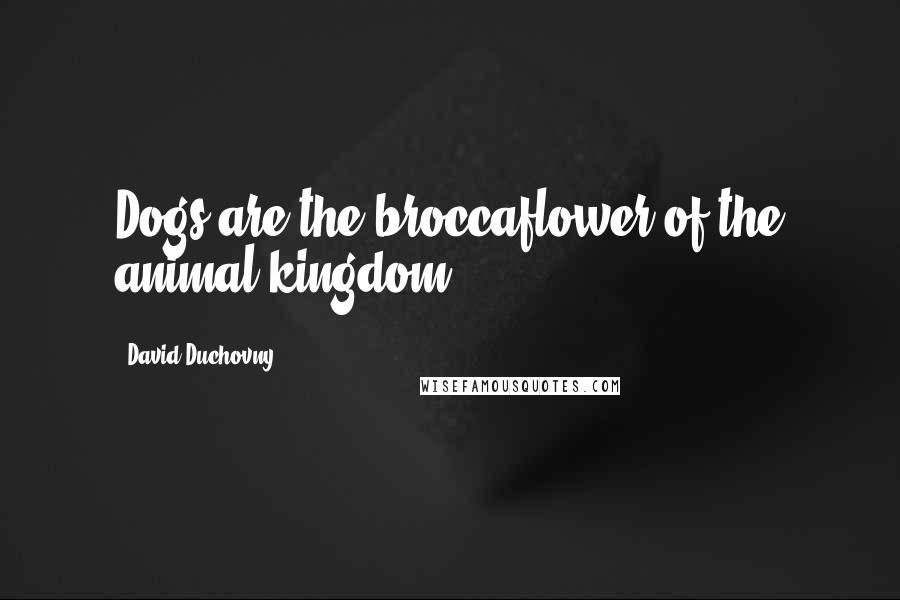 David Duchovny Quotes: Dogs are the broccaflower of the animal kingdom.