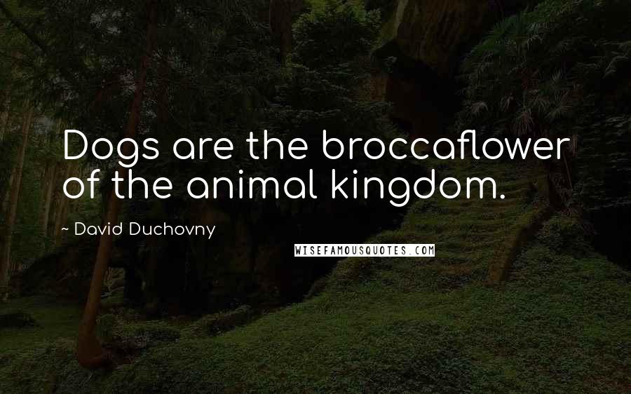 David Duchovny Quotes: Dogs are the broccaflower of the animal kingdom.