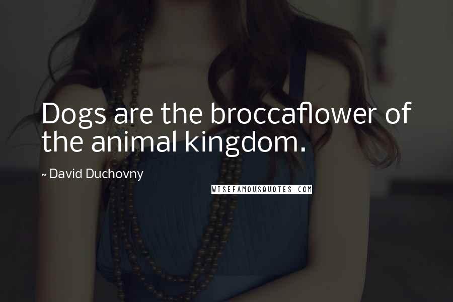 David Duchovny Quotes: Dogs are the broccaflower of the animal kingdom.