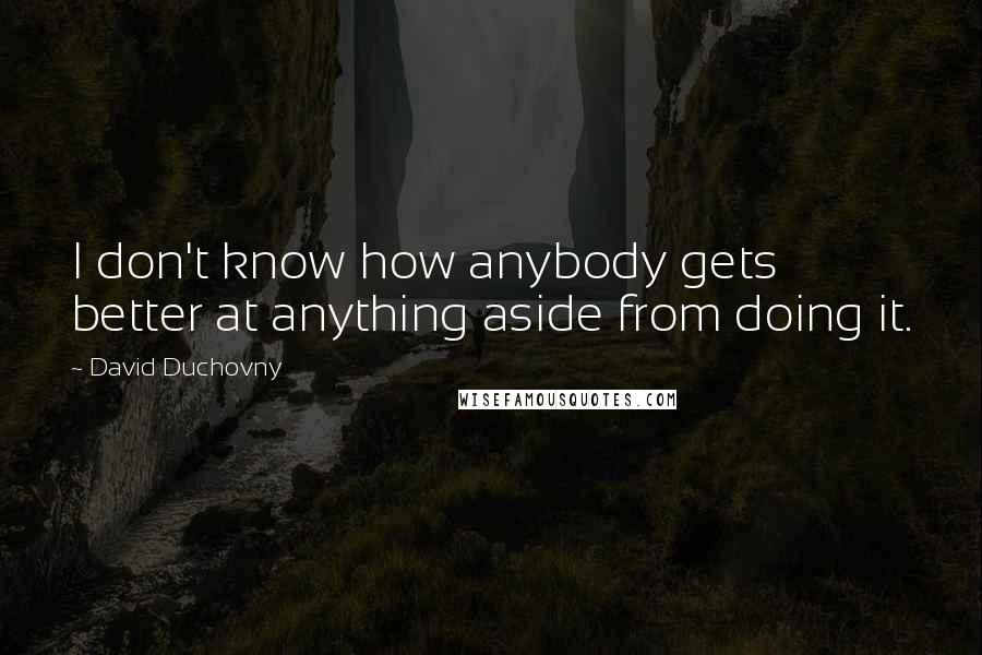 David Duchovny Quotes: I don't know how anybody gets better at anything aside from doing it.