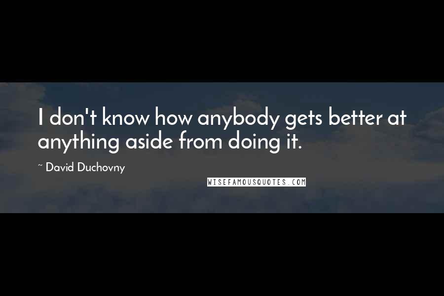 David Duchovny Quotes: I don't know how anybody gets better at anything aside from doing it.