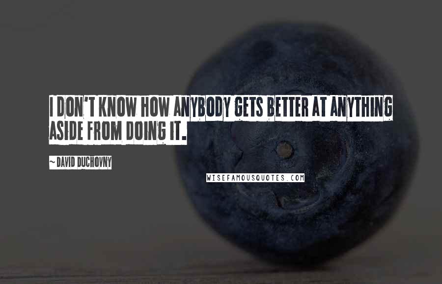 David Duchovny Quotes: I don't know how anybody gets better at anything aside from doing it.