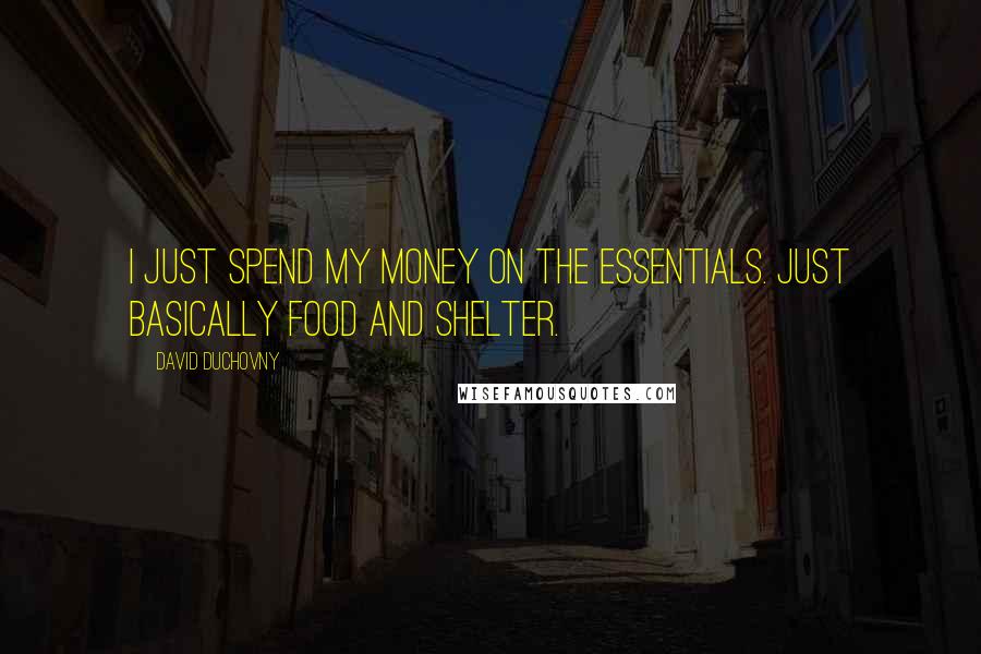 David Duchovny Quotes: I just spend my money on the essentials. Just basically food and shelter.