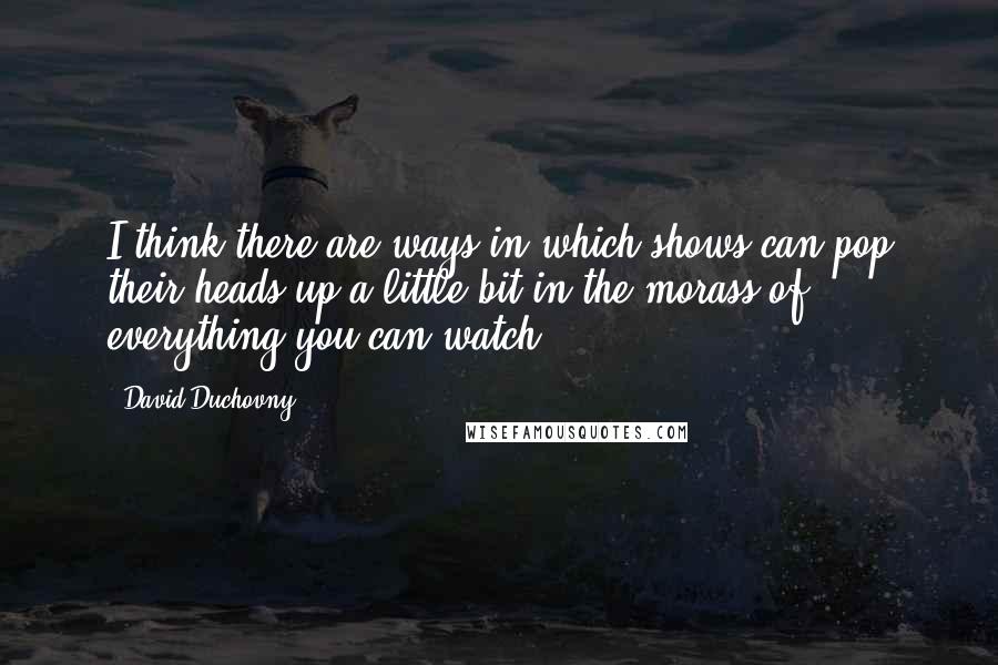 David Duchovny Quotes: I think there are ways in which shows can pop their heads up a little bit in the morass of everything you can watch.