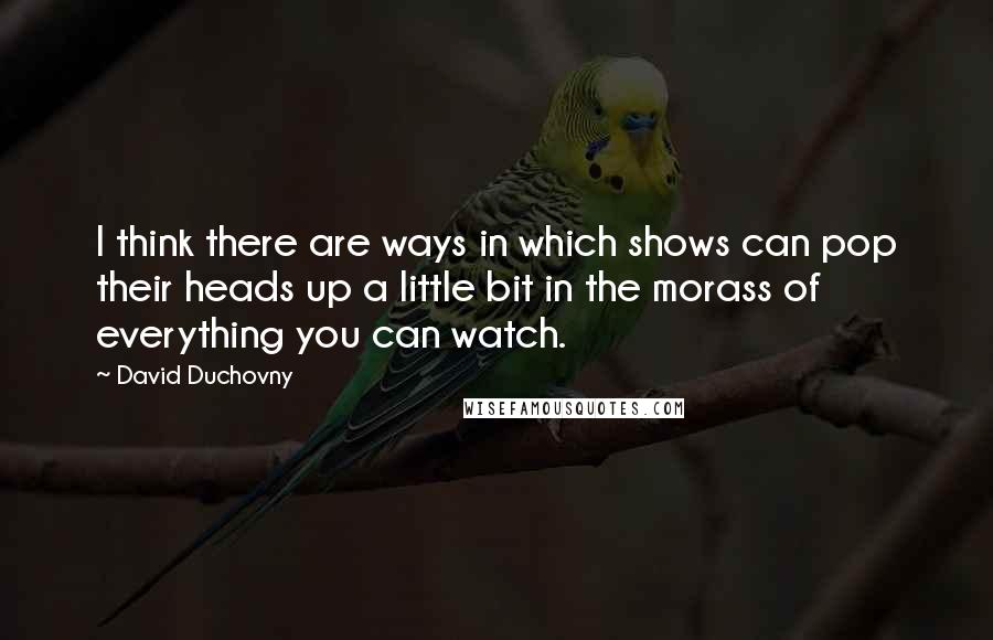 David Duchovny Quotes: I think there are ways in which shows can pop their heads up a little bit in the morass of everything you can watch.