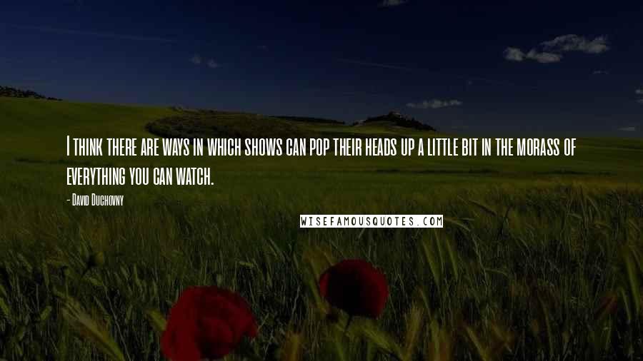 David Duchovny Quotes: I think there are ways in which shows can pop their heads up a little bit in the morass of everything you can watch.