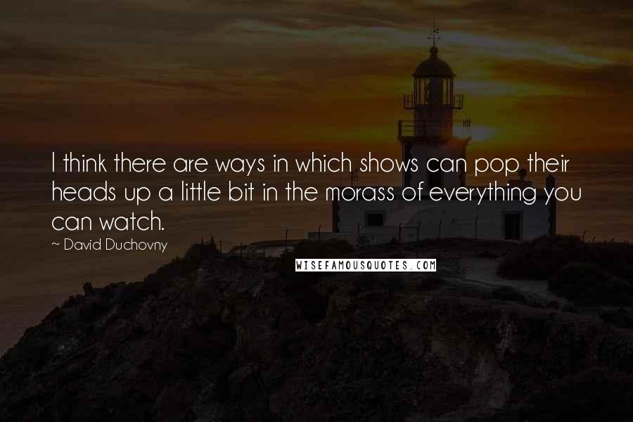 David Duchovny Quotes: I think there are ways in which shows can pop their heads up a little bit in the morass of everything you can watch.