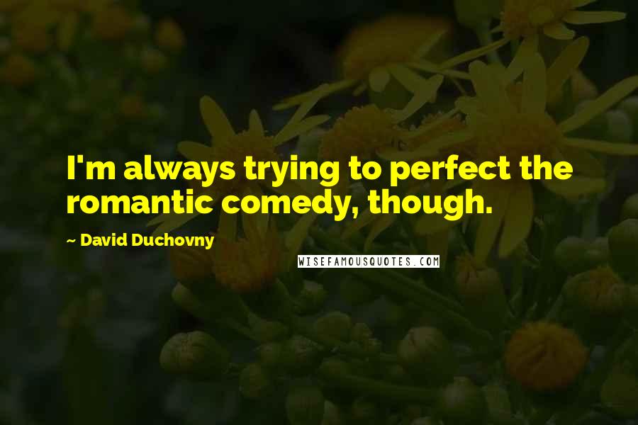 David Duchovny Quotes: I'm always trying to perfect the romantic comedy, though.