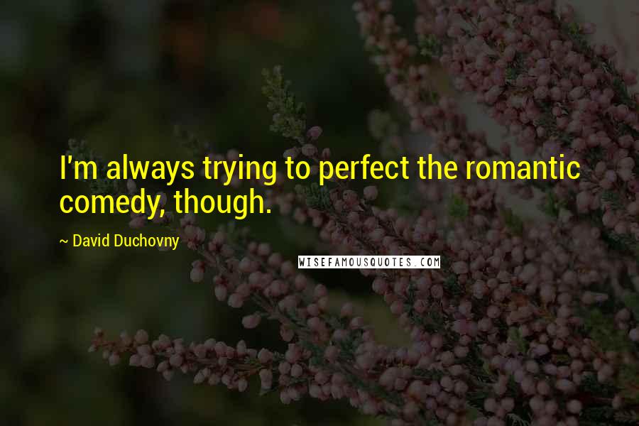 David Duchovny Quotes: I'm always trying to perfect the romantic comedy, though.