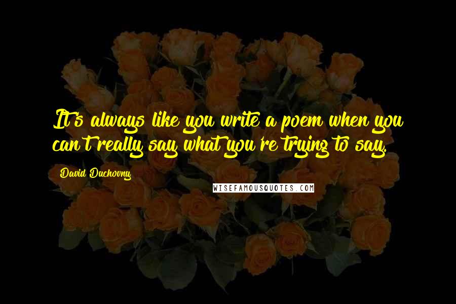 David Duchovny Quotes: It's always like you write a poem when you can't really say what you're trying to say.