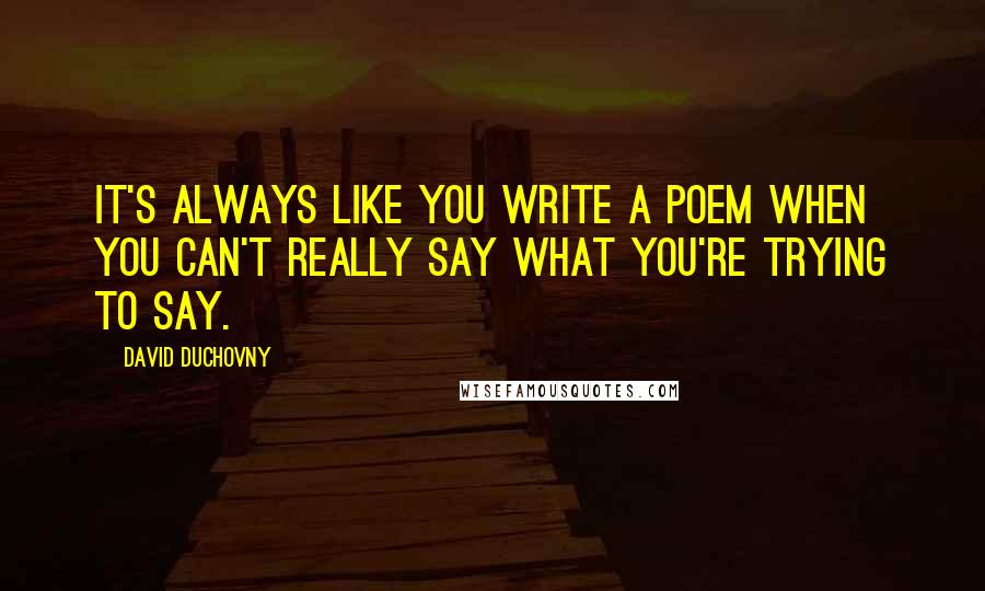 David Duchovny Quotes: It's always like you write a poem when you can't really say what you're trying to say.