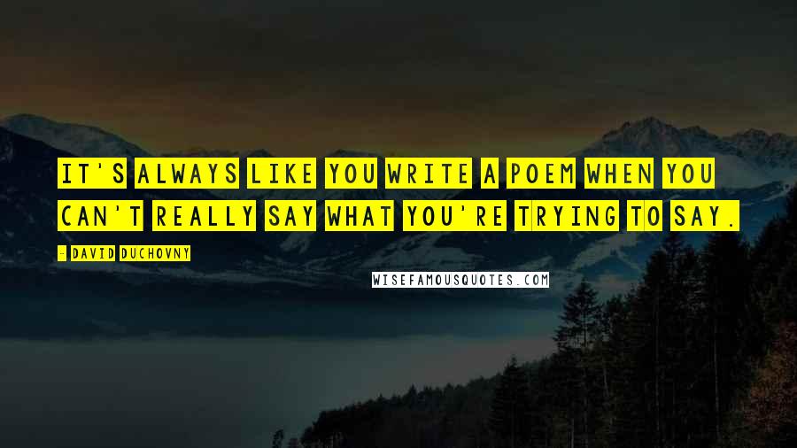 David Duchovny Quotes: It's always like you write a poem when you can't really say what you're trying to say.