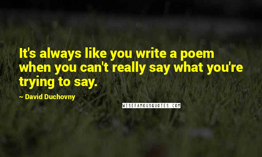 David Duchovny Quotes: It's always like you write a poem when you can't really say what you're trying to say.