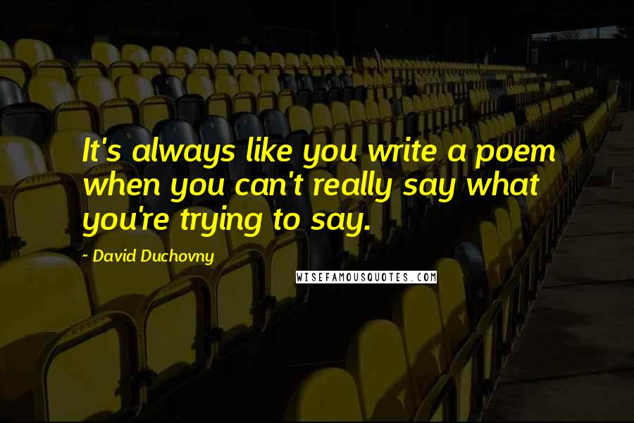 David Duchovny Quotes: It's always like you write a poem when you can't really say what you're trying to say.