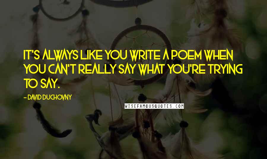 David Duchovny Quotes: It's always like you write a poem when you can't really say what you're trying to say.