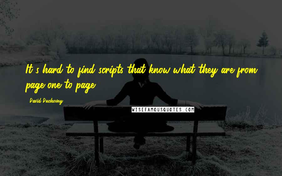 David Duchovny Quotes: It's hard to find scripts that know what they are from page one to page 115.