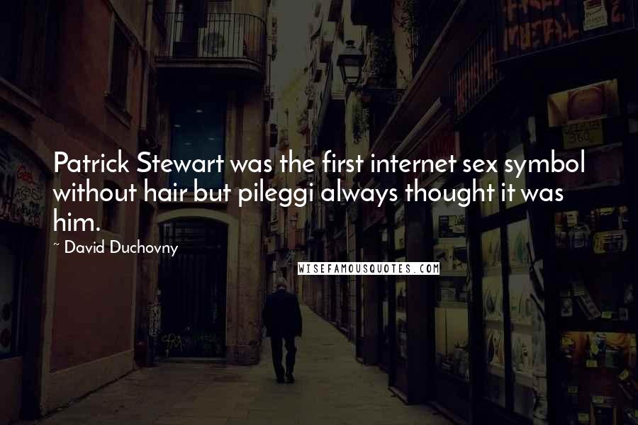David Duchovny Quotes: Patrick Stewart was the first internet sex symbol without hair but pileggi always thought it was him.