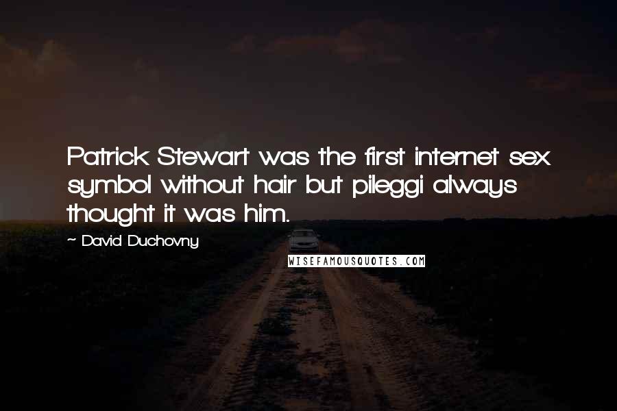 David Duchovny Quotes: Patrick Stewart was the first internet sex symbol without hair but pileggi always thought it was him.