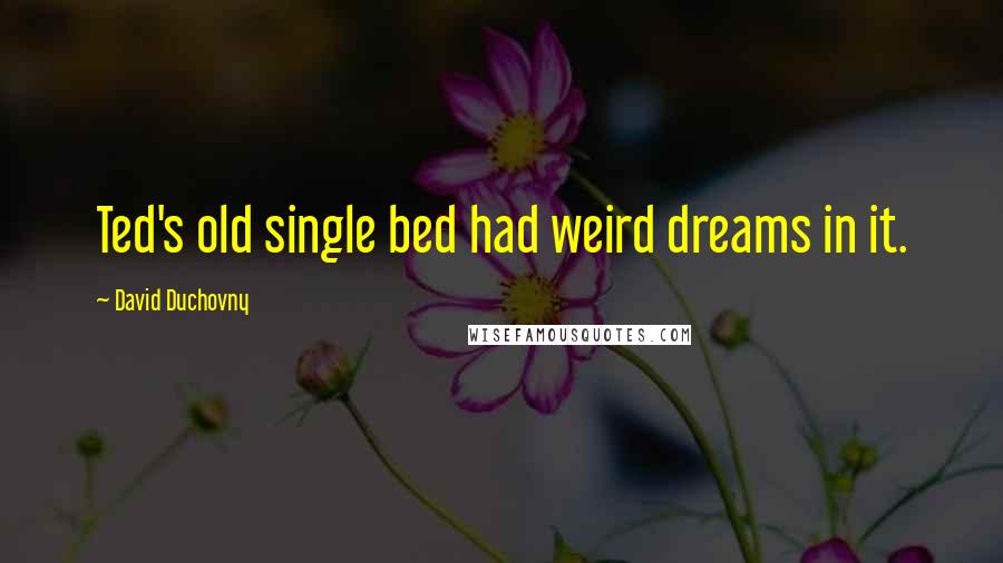 David Duchovny Quotes: Ted's old single bed had weird dreams in it.