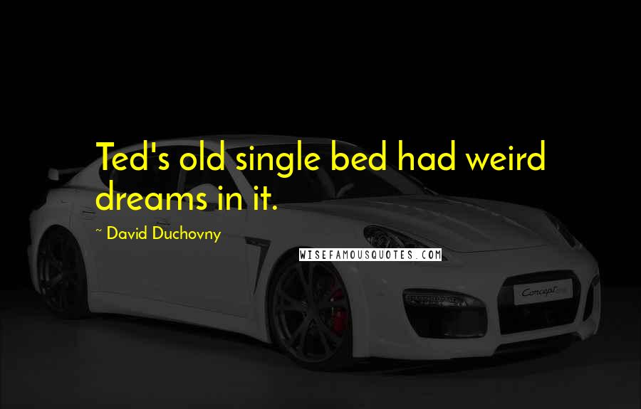 David Duchovny Quotes: Ted's old single bed had weird dreams in it.