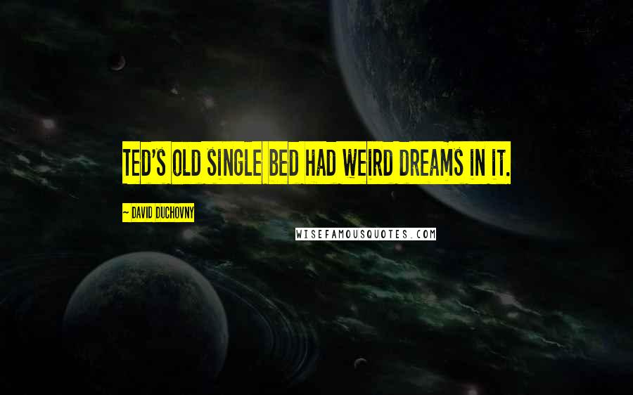 David Duchovny Quotes: Ted's old single bed had weird dreams in it.