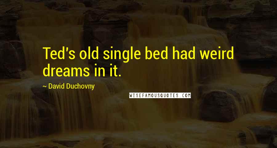 David Duchovny Quotes: Ted's old single bed had weird dreams in it.