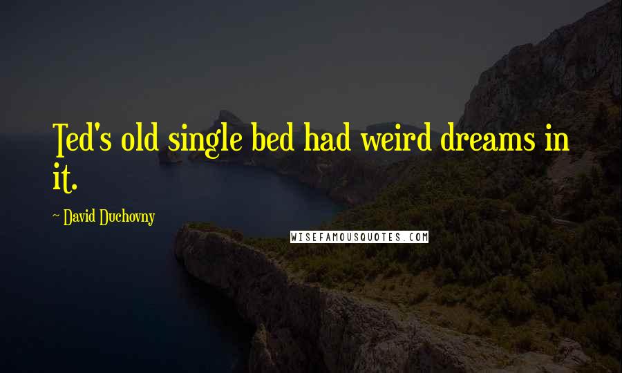 David Duchovny Quotes: Ted's old single bed had weird dreams in it.