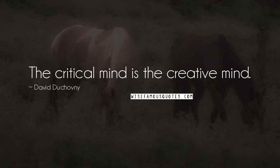 David Duchovny Quotes: The critical mind is the creative mind.
