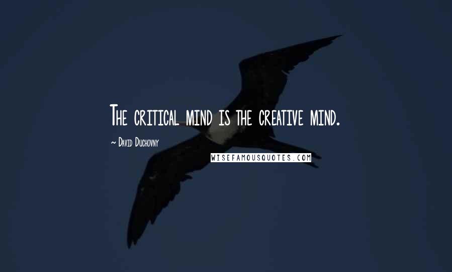 David Duchovny Quotes: The critical mind is the creative mind.