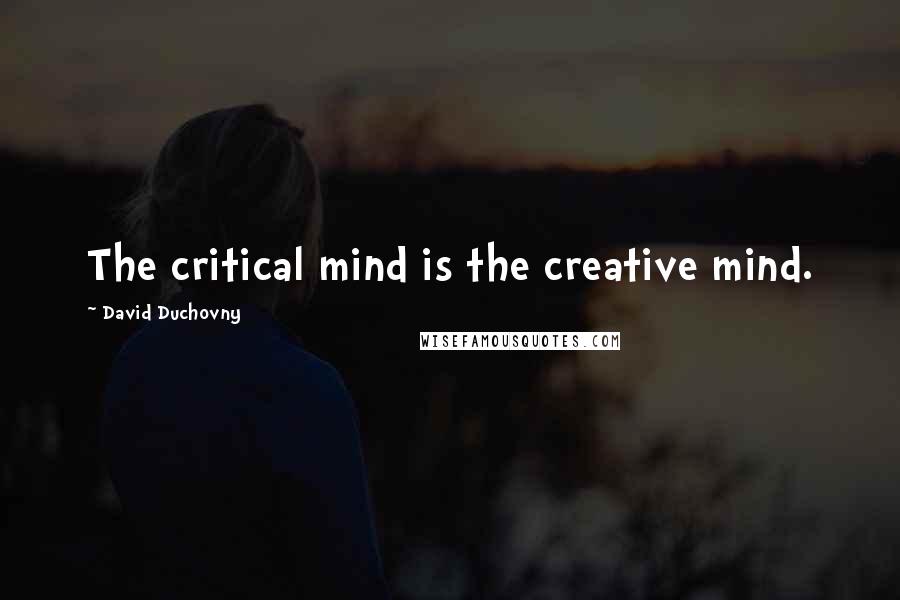 David Duchovny Quotes: The critical mind is the creative mind.