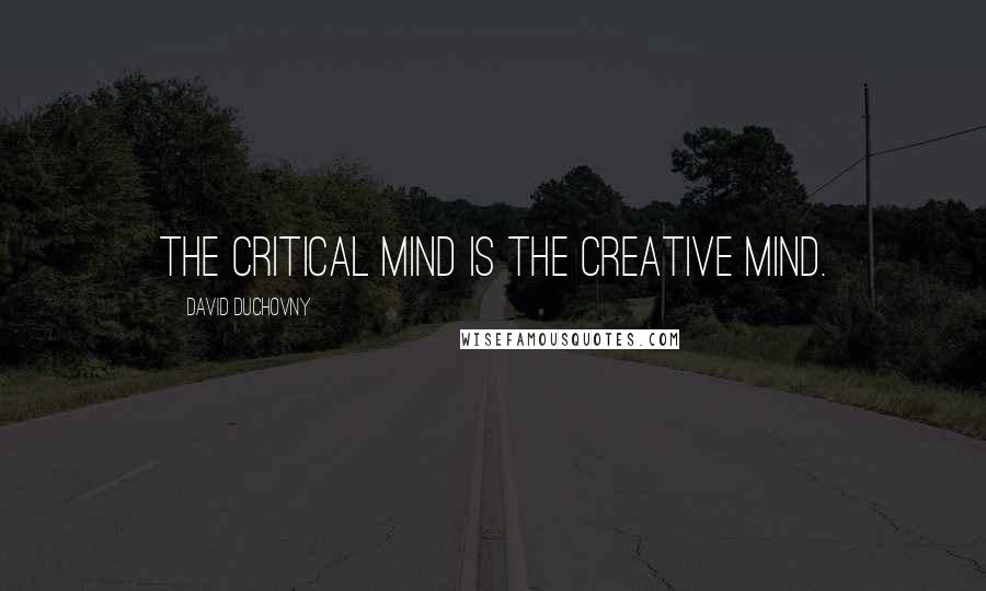 David Duchovny Quotes: The critical mind is the creative mind.