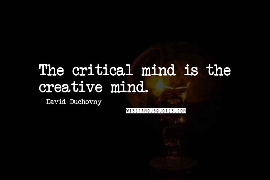 David Duchovny Quotes: The critical mind is the creative mind.