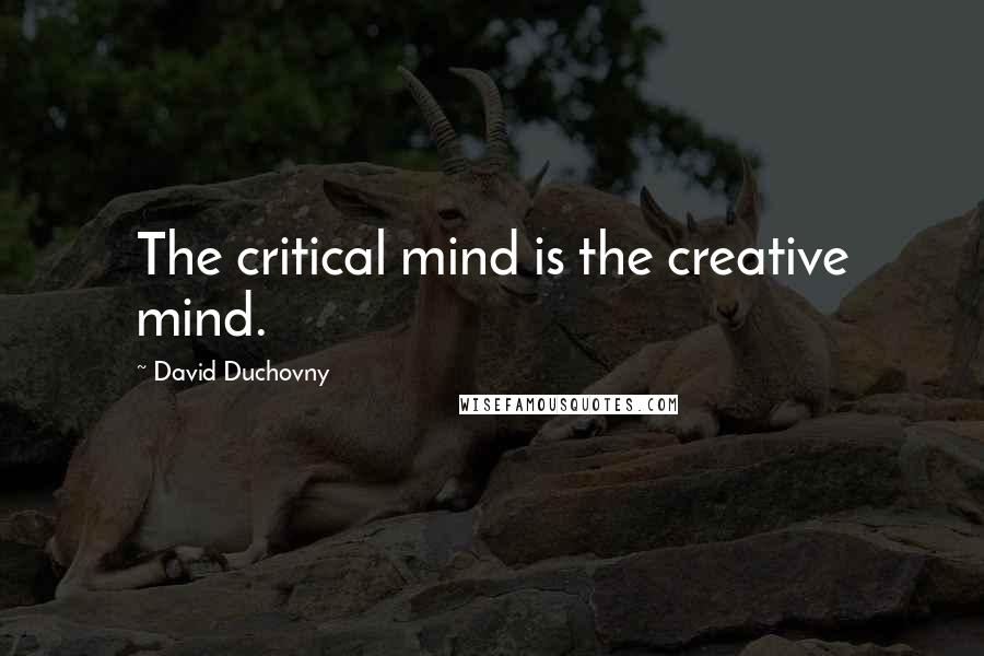 David Duchovny Quotes: The critical mind is the creative mind.