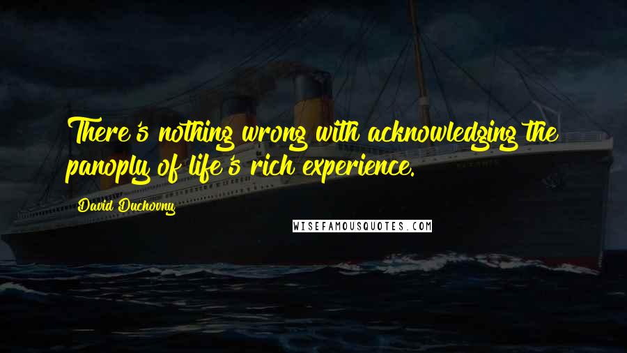 David Duchovny Quotes: There's nothing wrong with acknowledging the panoply of life's rich experience.