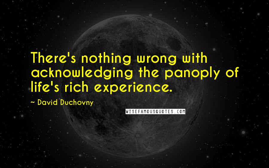 David Duchovny Quotes: There's nothing wrong with acknowledging the panoply of life's rich experience.