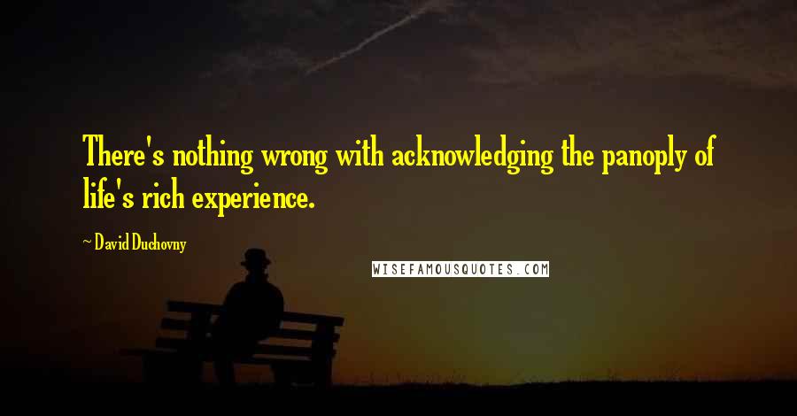 David Duchovny Quotes: There's nothing wrong with acknowledging the panoply of life's rich experience.