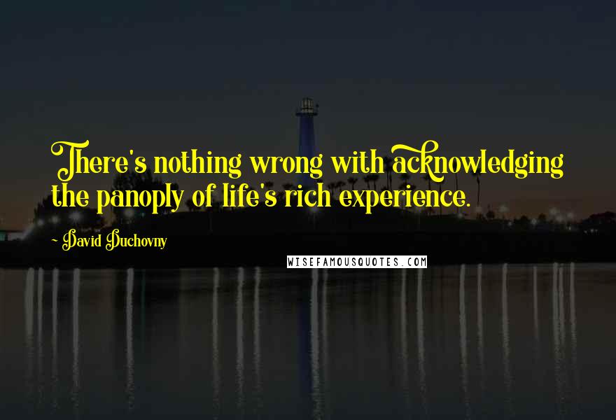 David Duchovny Quotes: There's nothing wrong with acknowledging the panoply of life's rich experience.