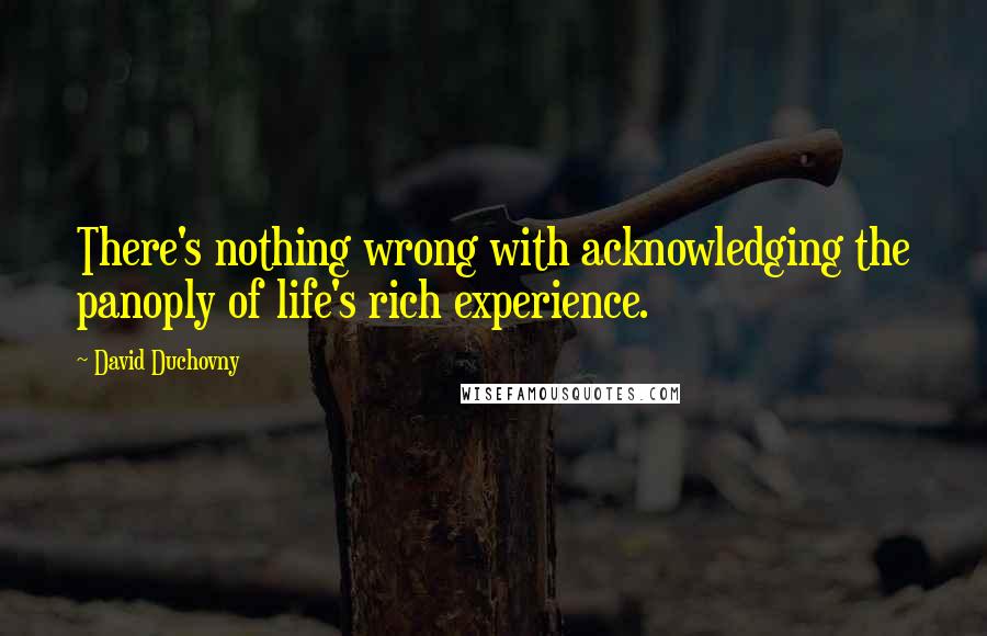 David Duchovny Quotes: There's nothing wrong with acknowledging the panoply of life's rich experience.