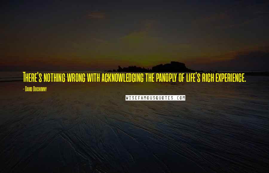 David Duchovny Quotes: There's nothing wrong with acknowledging the panoply of life's rich experience.