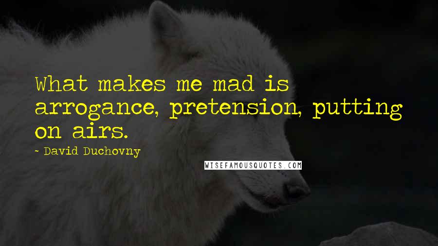 David Duchovny Quotes: What makes me mad is arrogance, pretension, putting on airs.