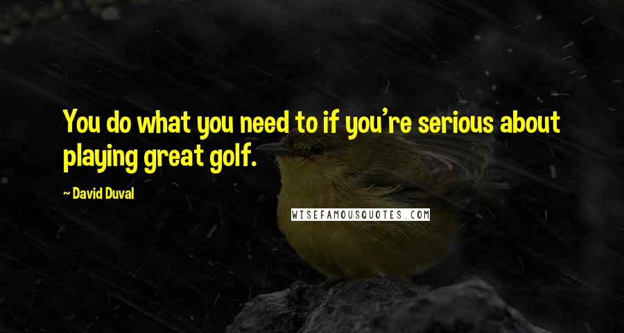 David Duval Quotes: You do what you need to if you're serious about playing great golf.