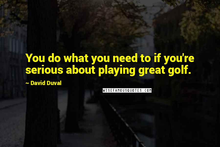 David Duval Quotes: You do what you need to if you're serious about playing great golf.