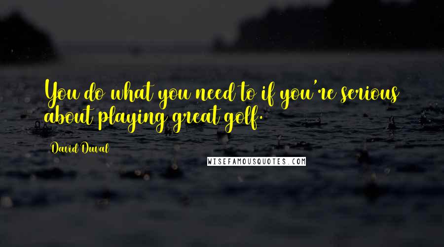 David Duval Quotes: You do what you need to if you're serious about playing great golf.